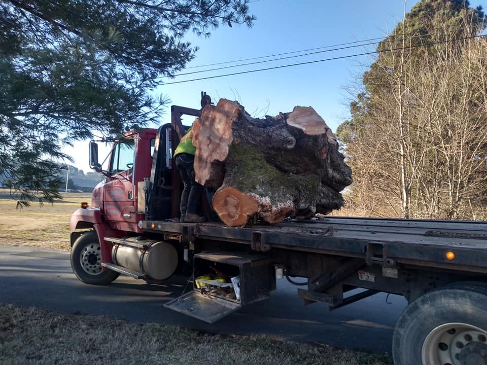 Tree Removal for Scott's Tree Service in Athens, TN