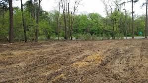 Our Land Clearing service offers expert fall and spring clean up, ensuring your property is free of unwanted vegetation, debris, and overgrowth—preparing your land for any project or season. for Elevate Tree Care in Gillette, WY