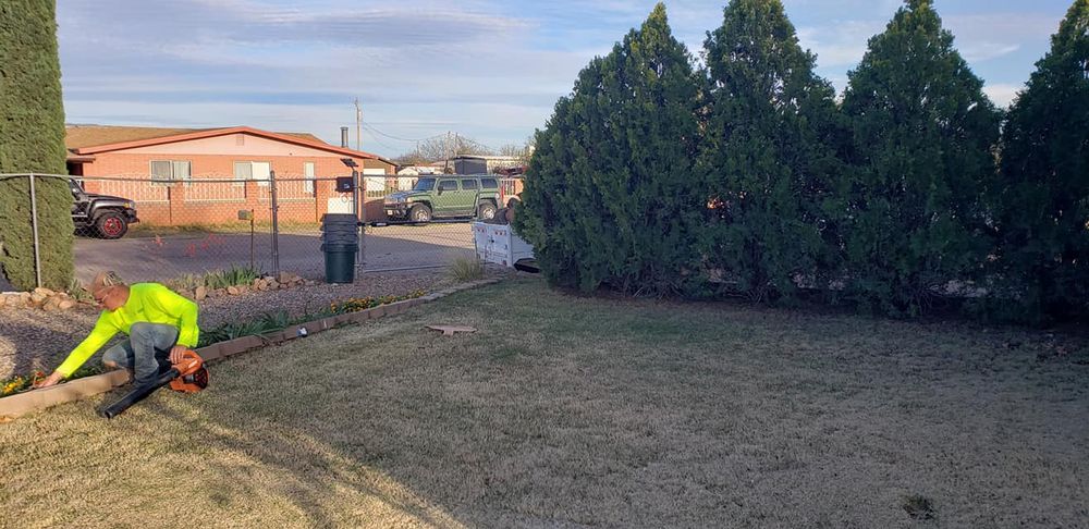 Our Turf Maintenance & Repairs service ensures lush, healthy lawns that complement your landscape, enhancing the beauty and privacy of your property with expertly cared-for grass beneath towering privacy trees. for A to Z Grounds Keeping in Sierra Vista, AZ