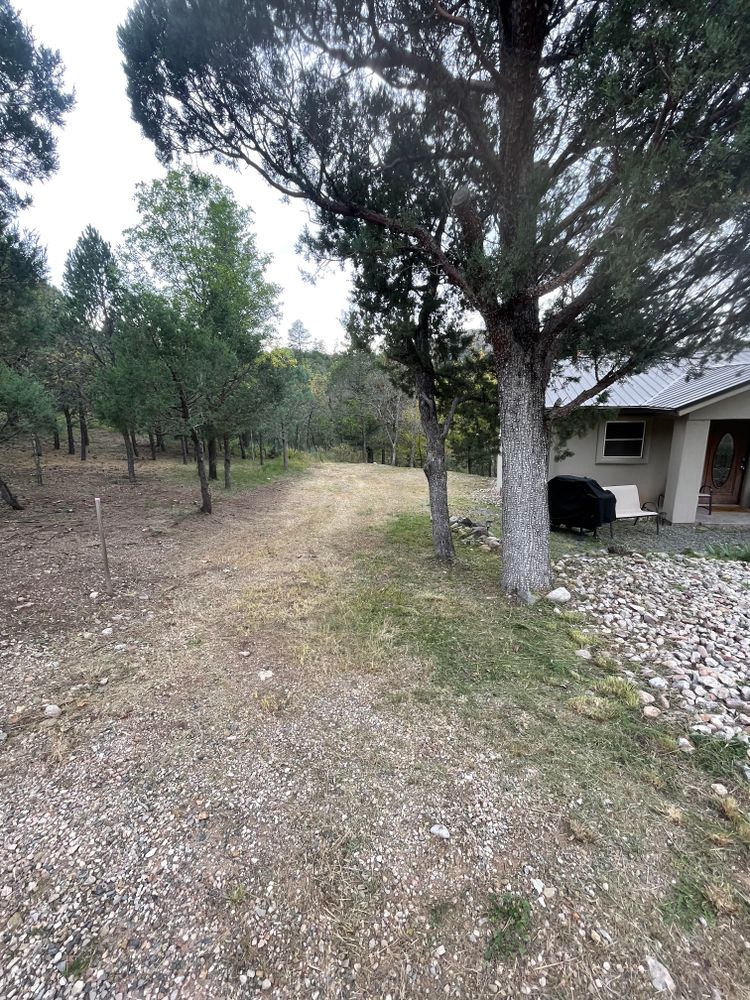 All Photos for G&B Yard Service in Ruidoso Downs, NM