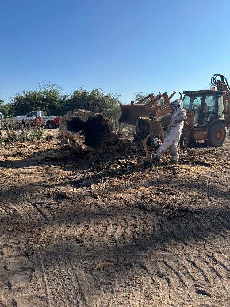 Stump Removal for By Faith Landscaping in Sierra Vista, AZ