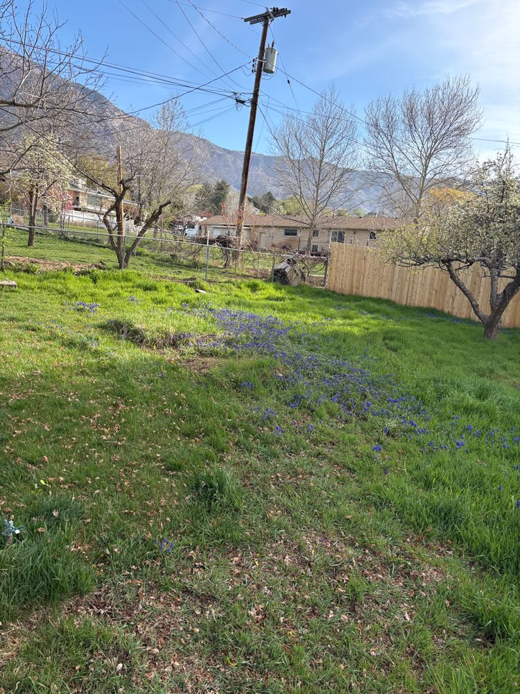 All Photos for Adventure Landscaping in Pleasant View, UT