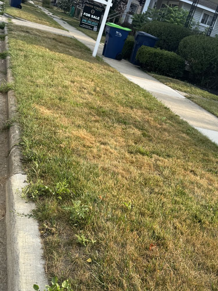 Landscaping Lawn Care for Daugherty's Tough Lawn Care in Essexville, MI