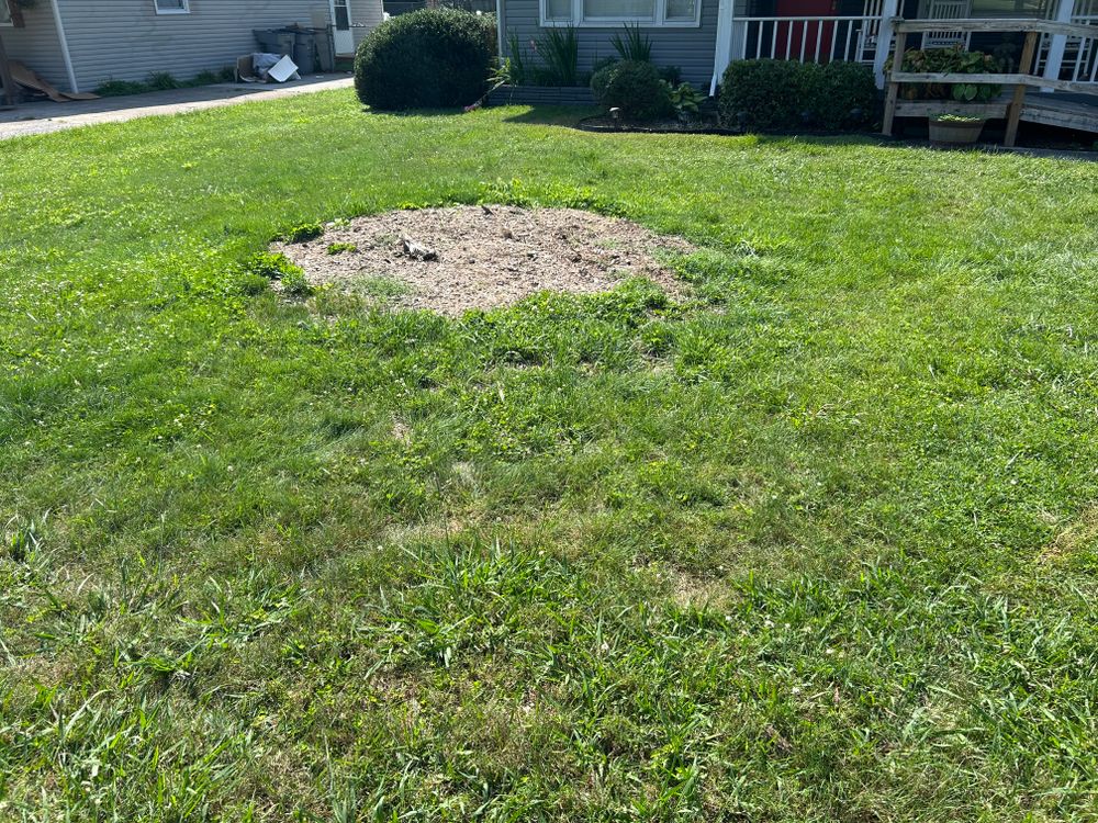 All Photos for Gatrell Landscape & Tree Removal in Bluff City, TN