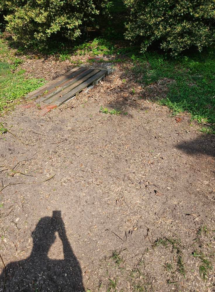 All Photos for Anchor & Grind Stump in Chesapeake, VA