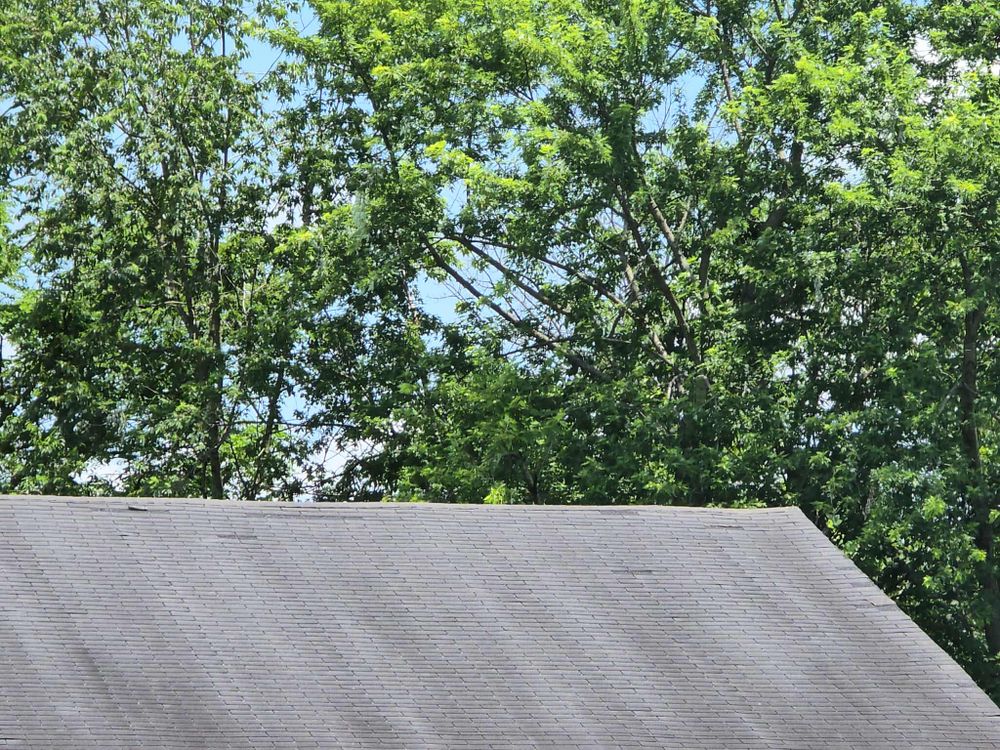 Other Services for Frontline Roofing & Home Services in Shelbyville, KY