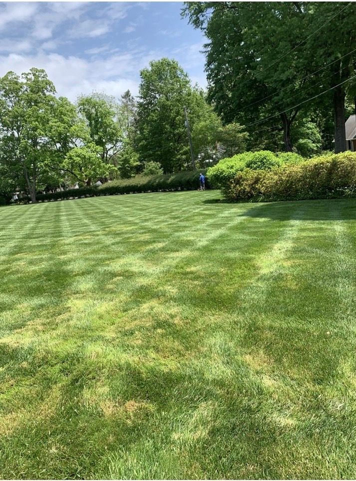 All Photos for Zotelo’s Lawncare LLC in Winston-Salem, NC