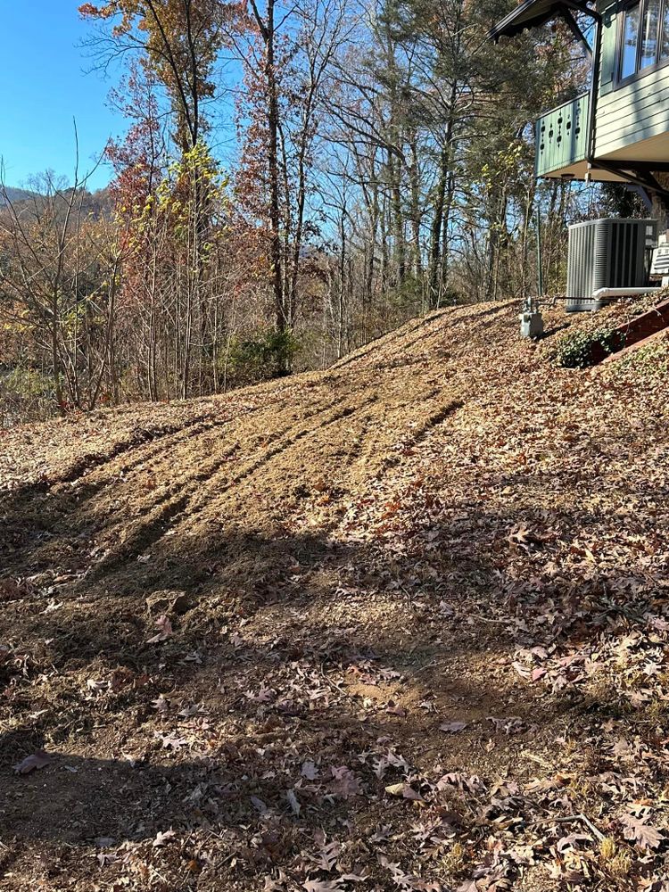 Tree Removal for Moore’s Tree Service in Chesnee, SC