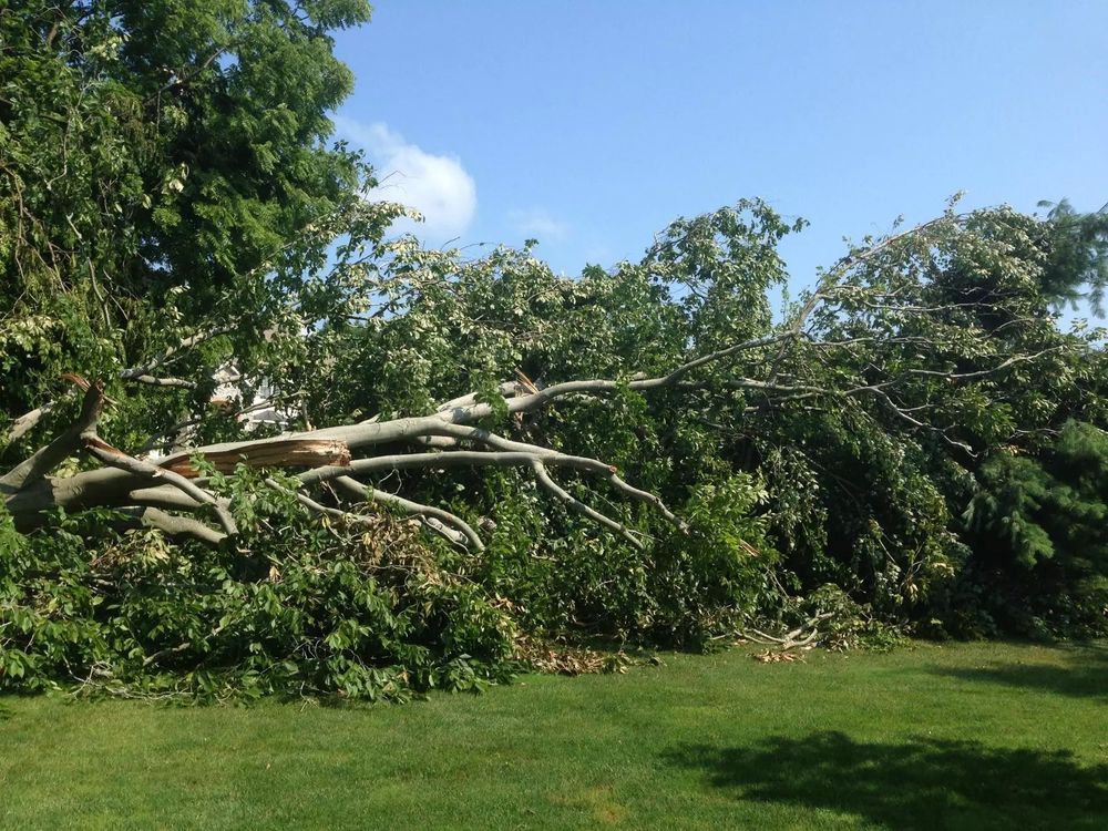 Our Storm Services provide homeowners with expert cleanup, debris removal, and land restoration after severe weather events, ensuring safety and restoring your property's functionality swiftly and efficiently for peace of mind. for TBC Custom Trades in West Burke, VT