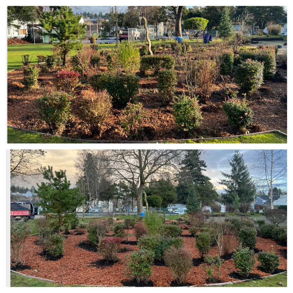 All Photos for Hall of Fame Landscaping in Bremerton, WA