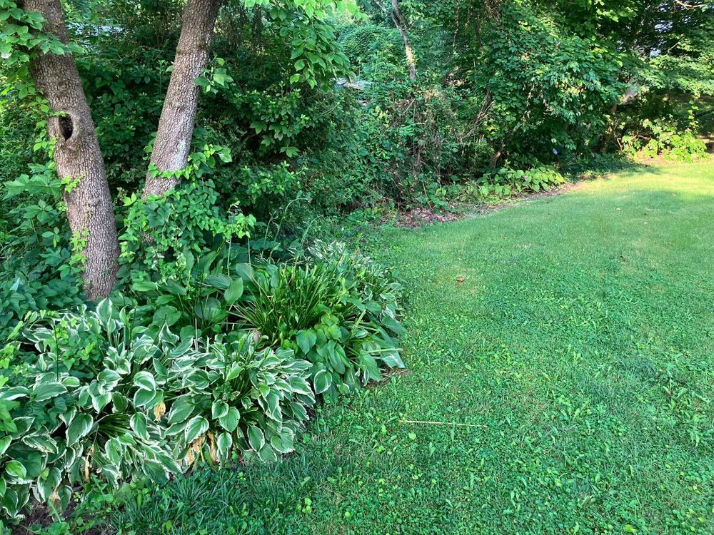 Excavating for Genesis Landworks in Bluff City, TN