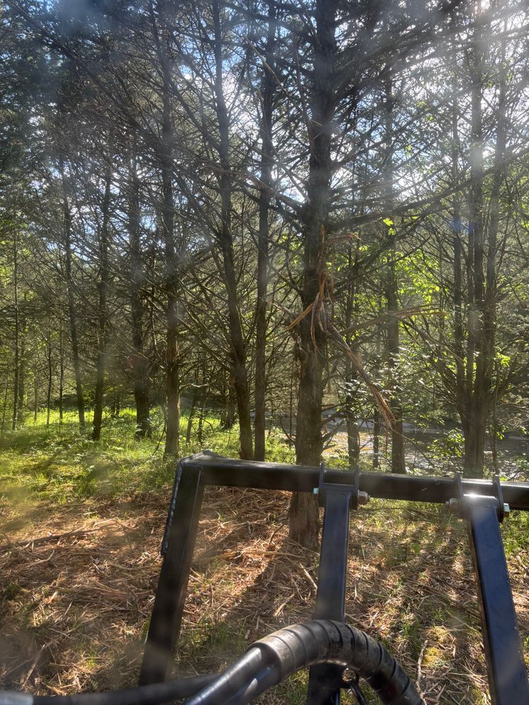 All Photos for Gregory Grass and Lawn in Lafayette, TN