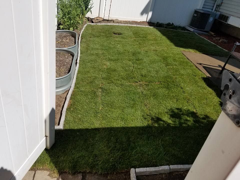 Lawn Aeration for Sierra Landscape in Tustin, CA