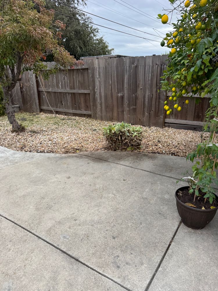 All Photos for CBA Landscaping in Hayward, CA