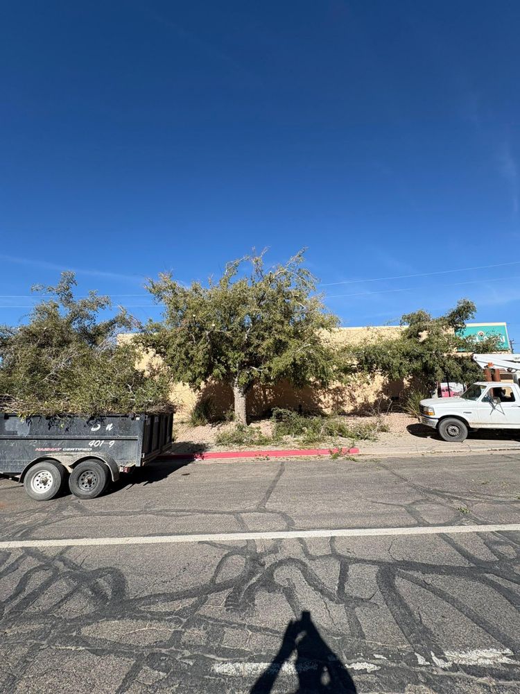All Photos for Top Notch Landscape Services LLC in Mohave Valley, AZ
