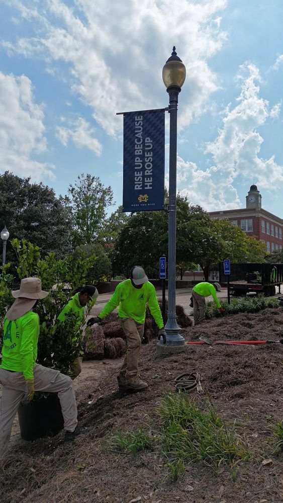 All Photos for Amis Lawn and Landscape, LLC in Clinton, MS