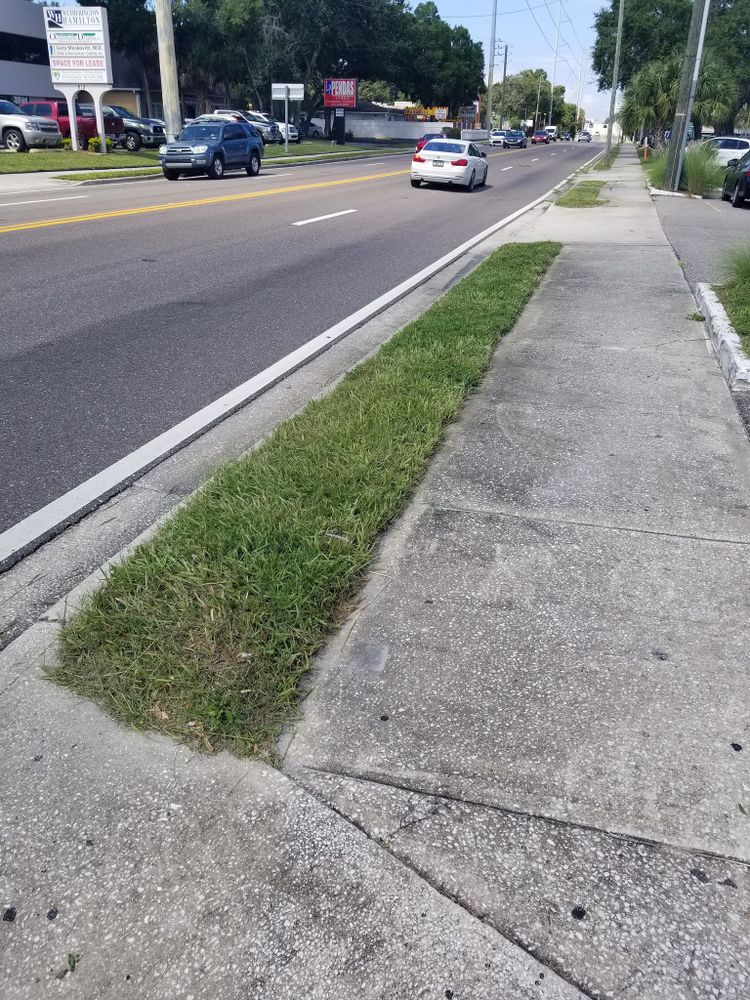 Landscaping for Tezna Landscaping, Trees & Pavers in Valrico, FL