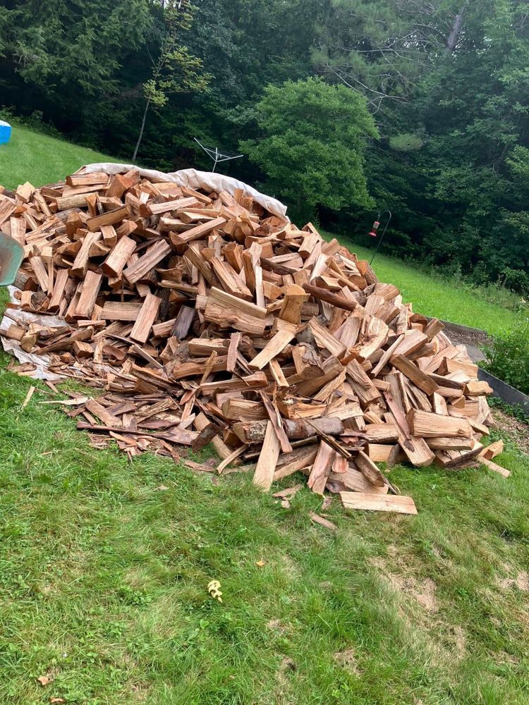 All Photos for Bruce's Removal Demolition and Tree Services in Gilsum, NH