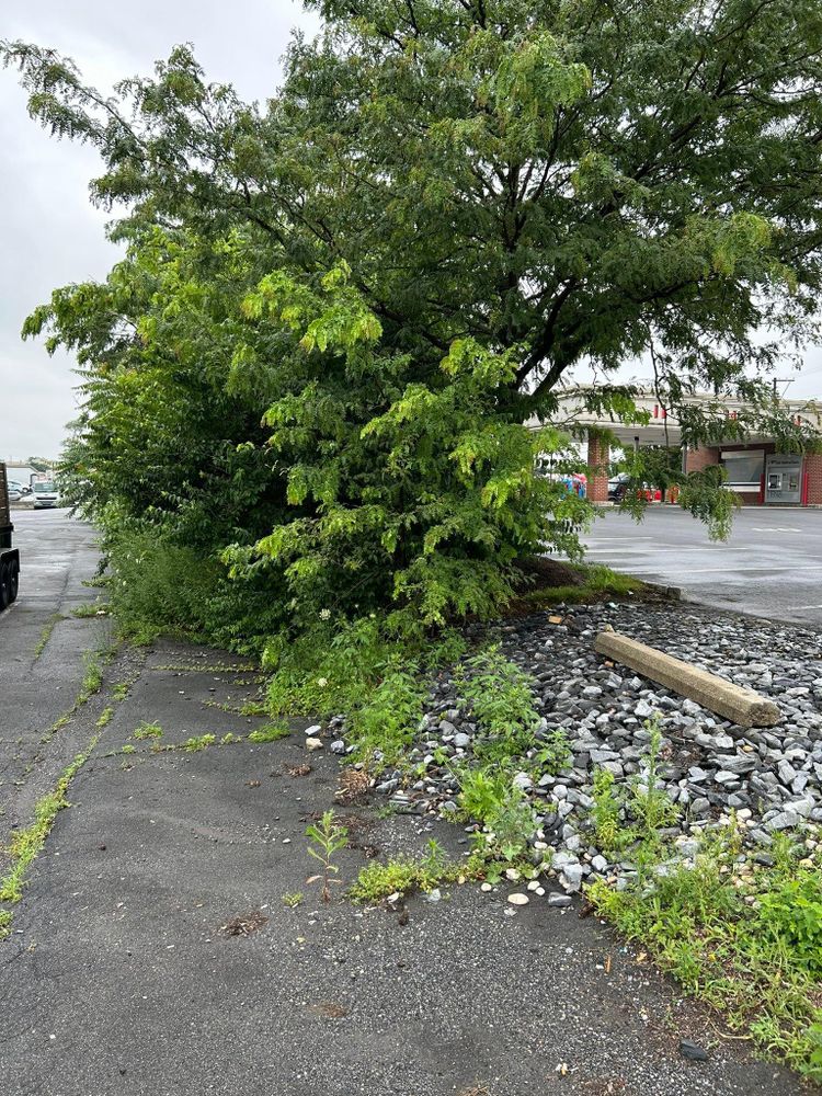 All Photos for Eric's Property Service in Conestoga, PA