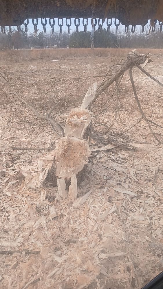 All Photos for Willing Trucking & Excavating in Evansville, WI