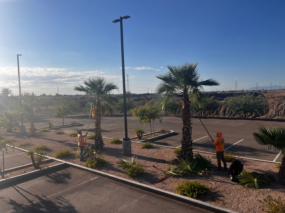 Commercial Gravel Installation for AZ Tree & Hardscape Co in Surprise, AZ