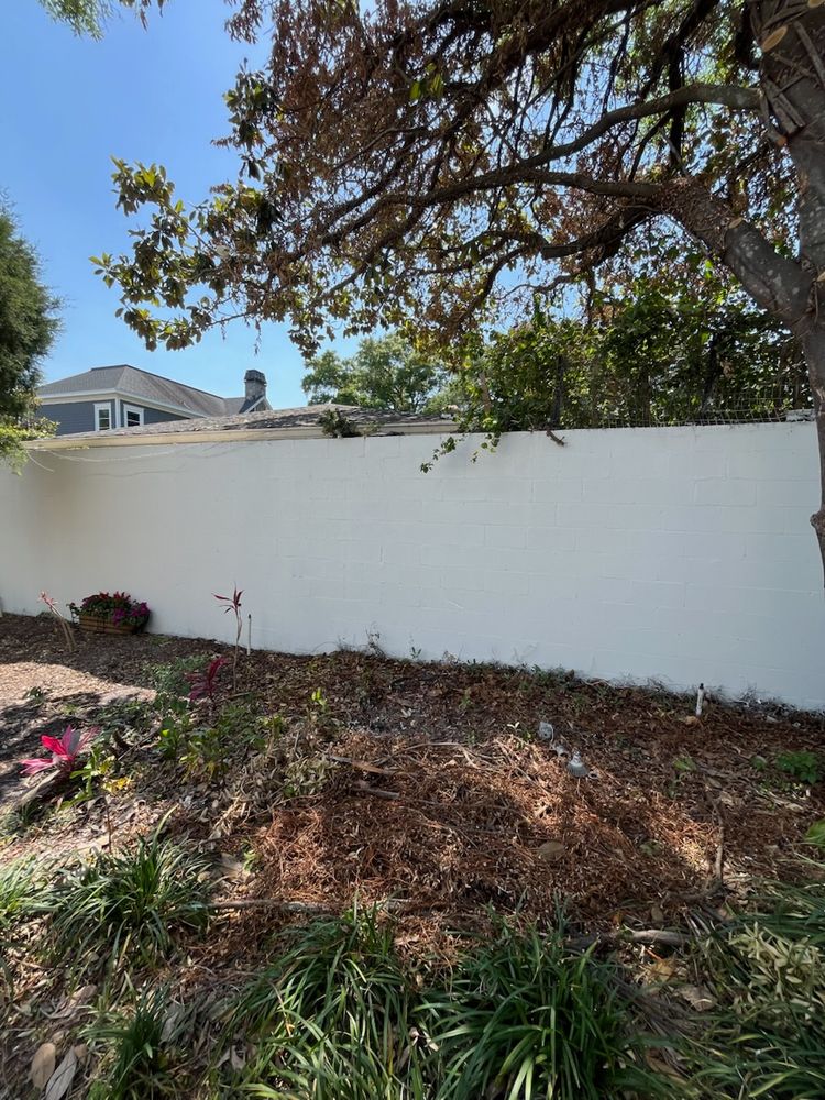 All Photos for Escorpio Painting in Tampa, FL