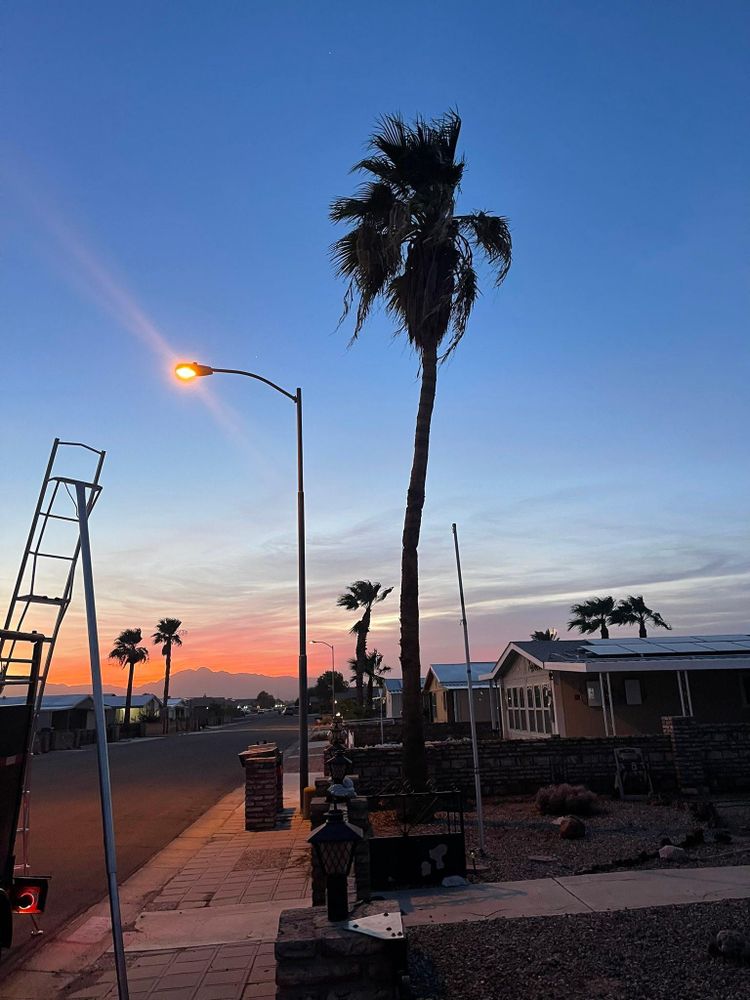 All Photos for Oliver L. Palm & Tree services in Yuma County, AZ