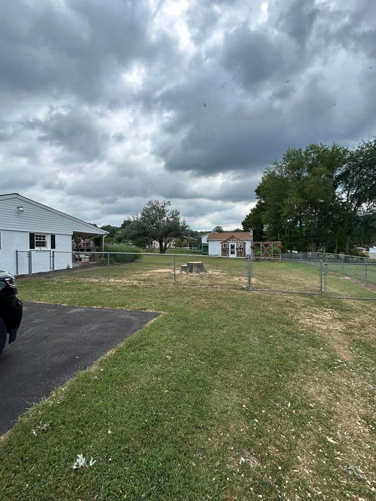 All Photos for NRV Tree Pro, LLC in Narrows, VA