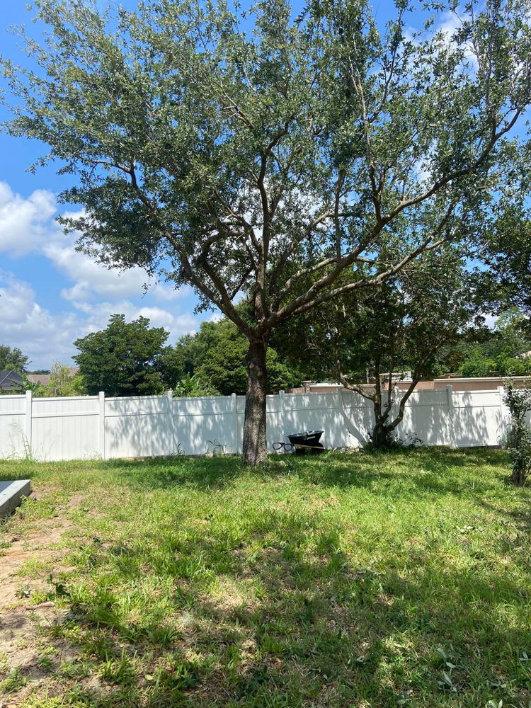 All Photos for Efficient and Reliable Tree Service in Lake Wales, FL