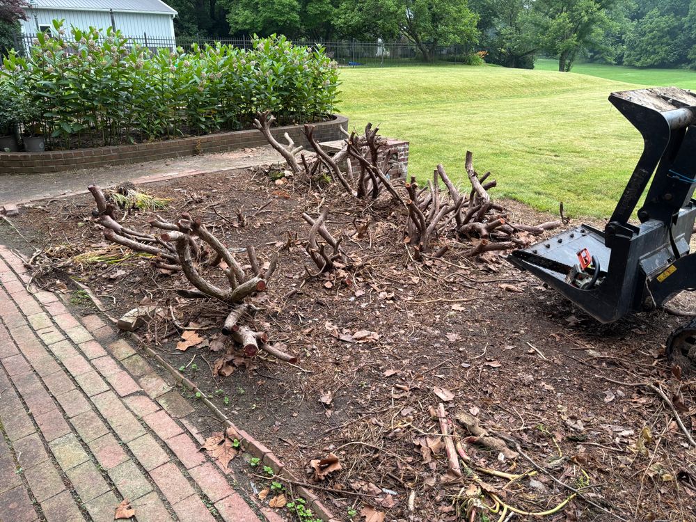 All Photos for Conrad's Stump Removal in Columbus, IN