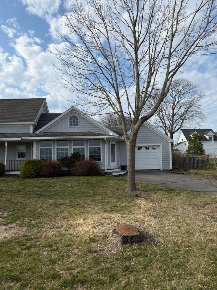 All Photos for Native Roots Tree Service in Cape Cod, MA