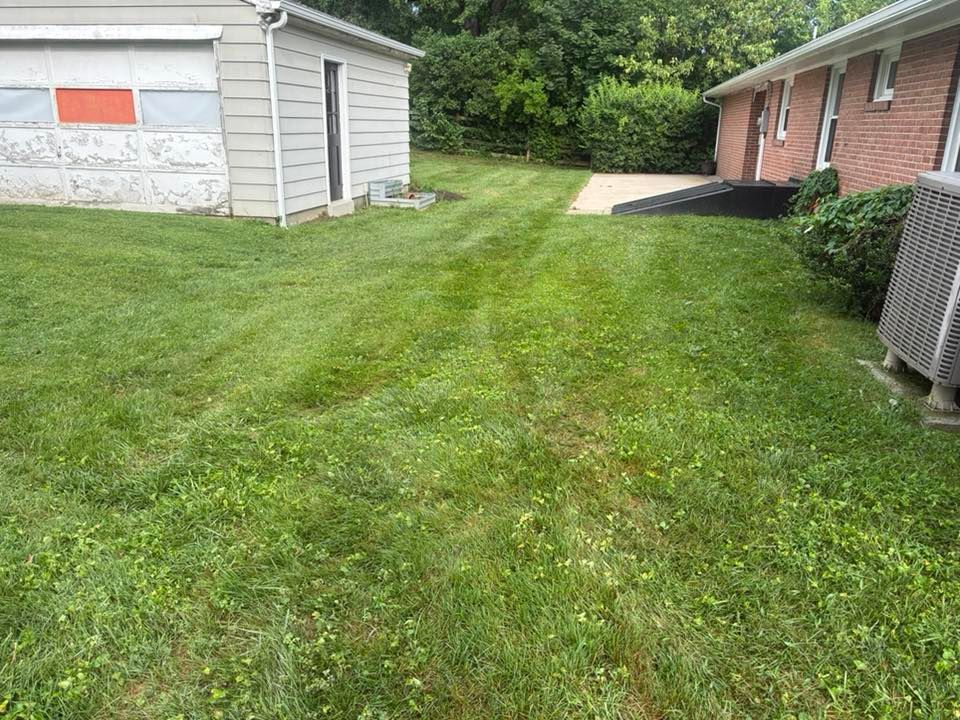 All Photos for Walsh Lawn And Landscape in Olney, MD