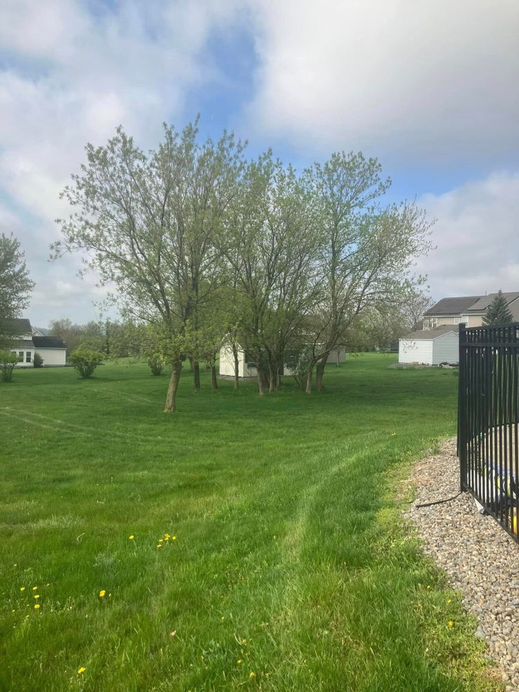 All Photos for Lovenguth Logging and Tree Service in West Monroe, NY