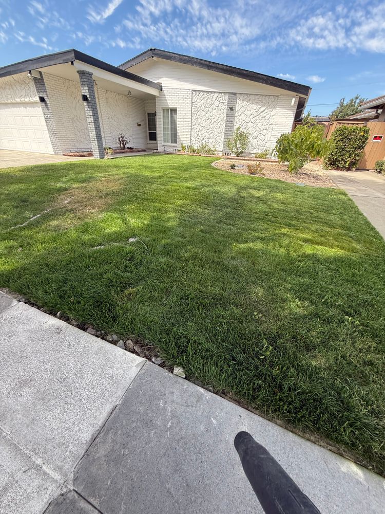 All Photos for CBA Landscaping in Hayward, CA