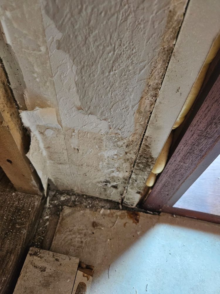 Mold Remediation for N&D Restoration Services When Disaster Attacks, We Come In in Cape Coral,  FL