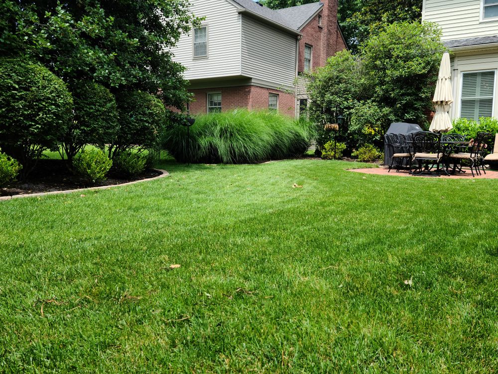 Lawn Care for All Seasons Property Maintenance in Louisville, KY