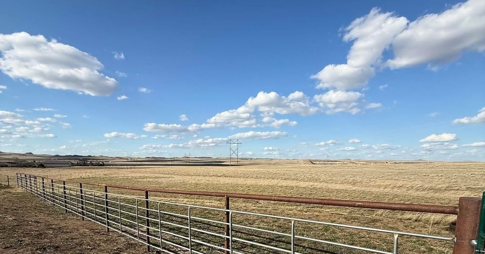 All Photos for DS Industries in Gillette, WY