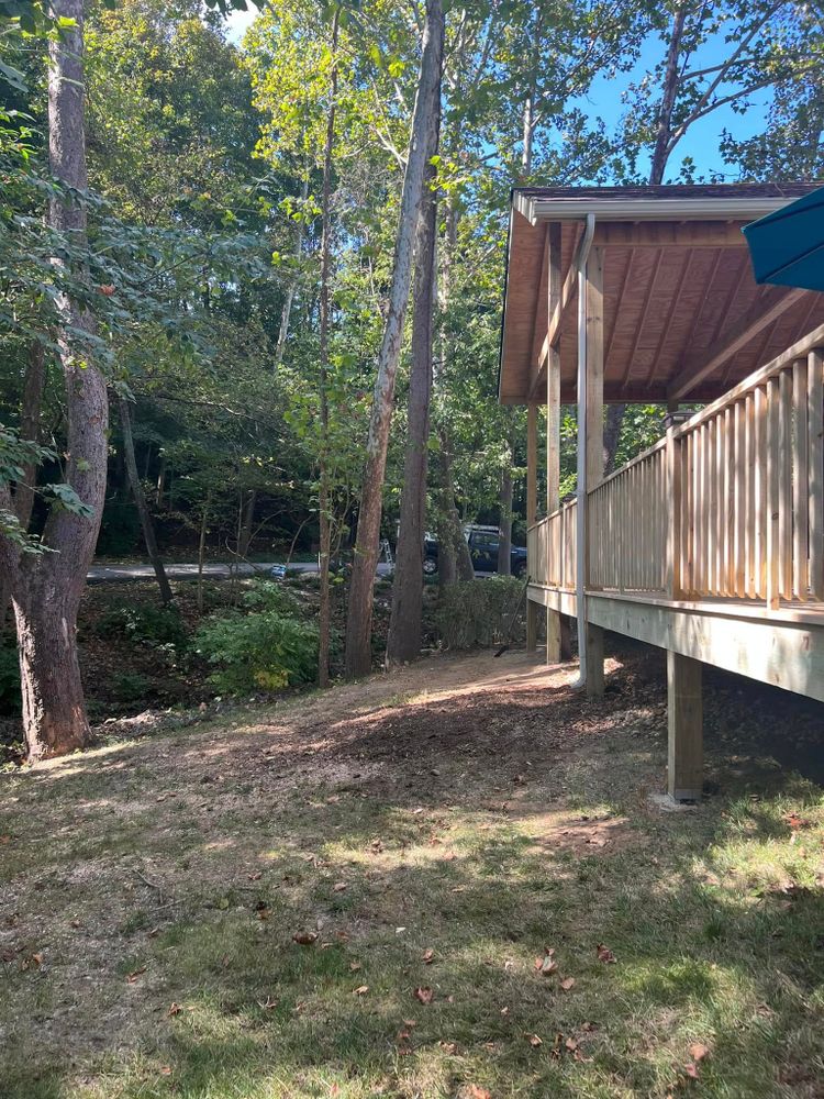 Tree Removal for La Fountain Tree Service in Louisville, KY