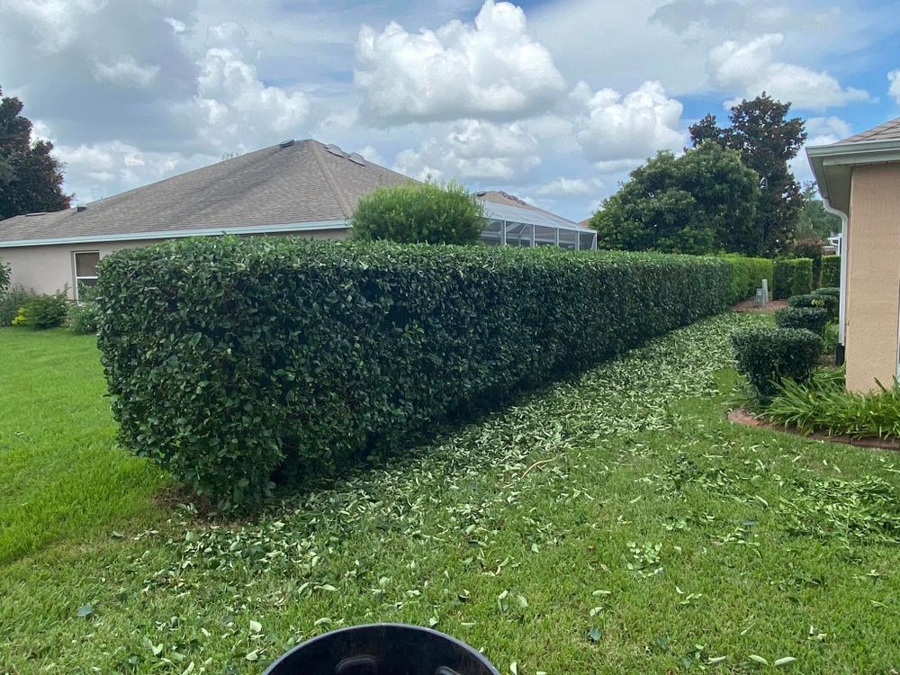 Our shrub trimming service ensures your greenery is perfectly shaped and healthy, enhancing curb appeal while promoting growth. Trust our experts for meticulous care of your shrubs all year round. for Bob's Mow n GO LLC in Lady Lake, FL