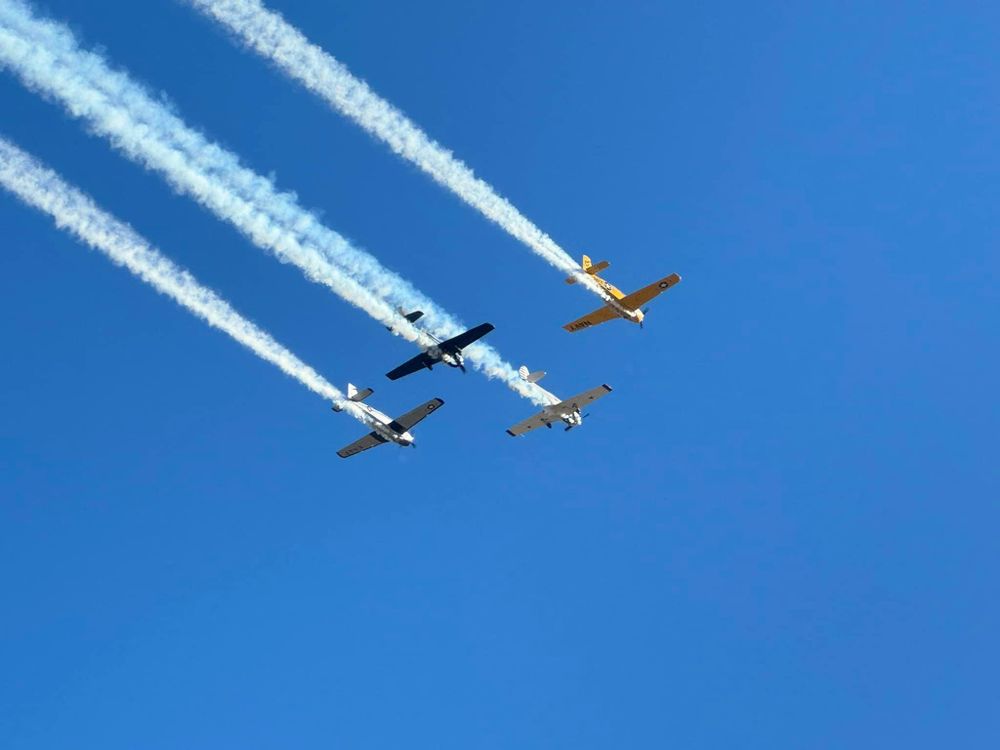 Property Clean Up for The Tree Fairy in Temecula, CA
