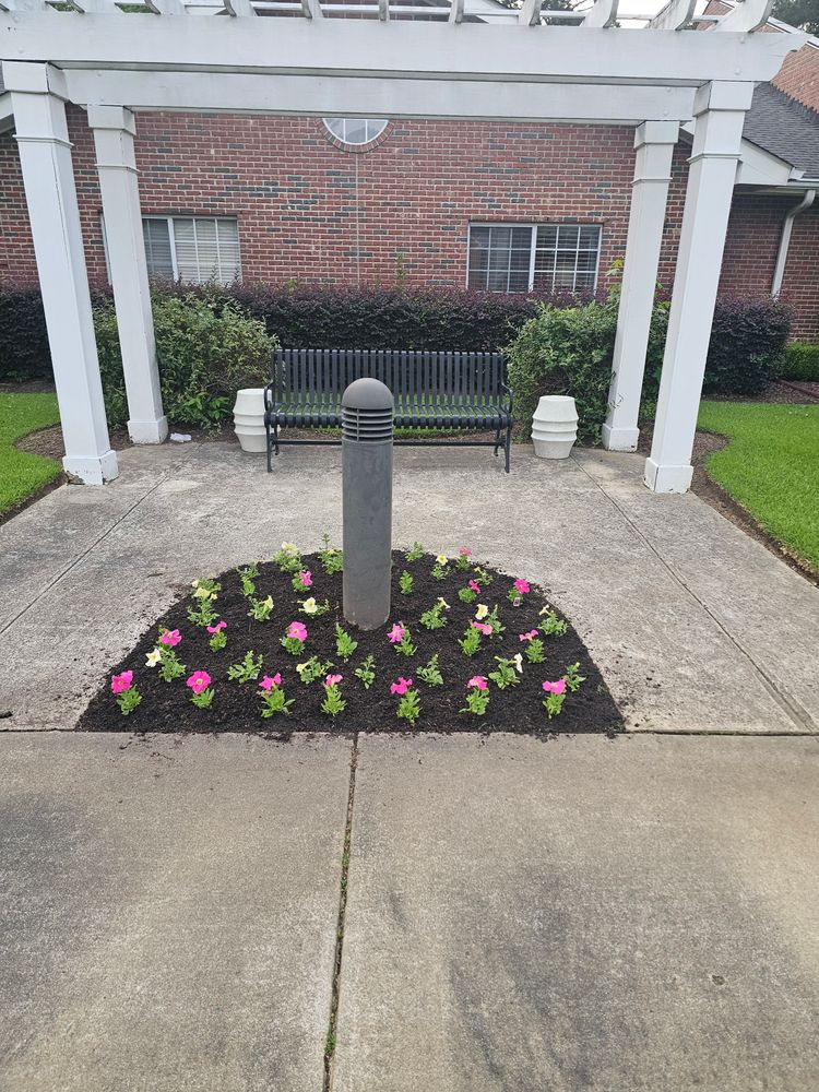 All Photos for Trinity Landscapes  in Lumberton, NC