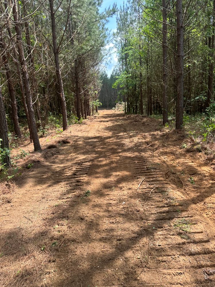 All Photos for A.P Land Management in Atlanta, Ga