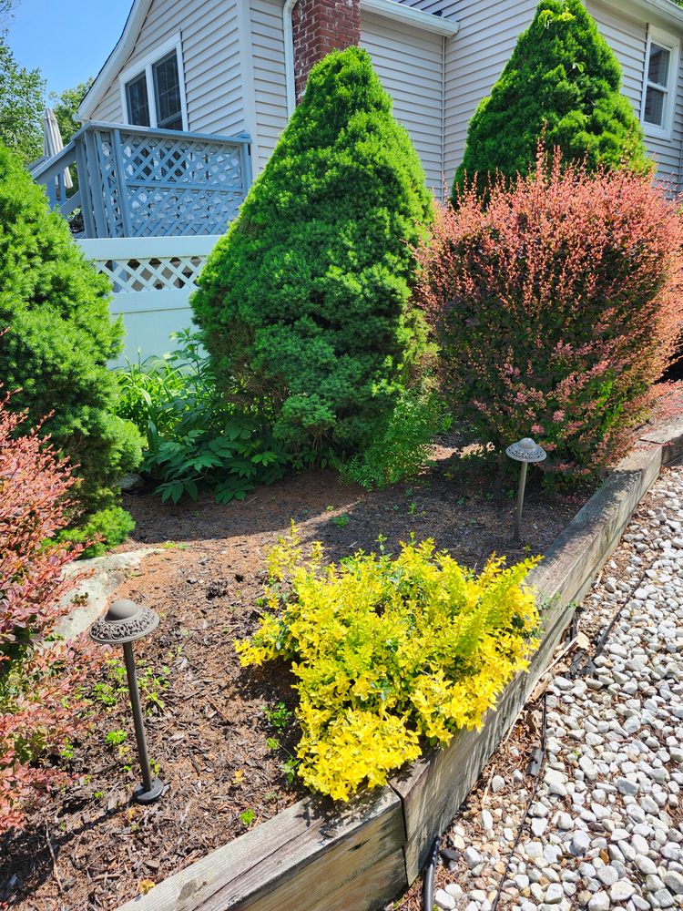 All Photos for Landscape Innovations LLC in Torrington, CT