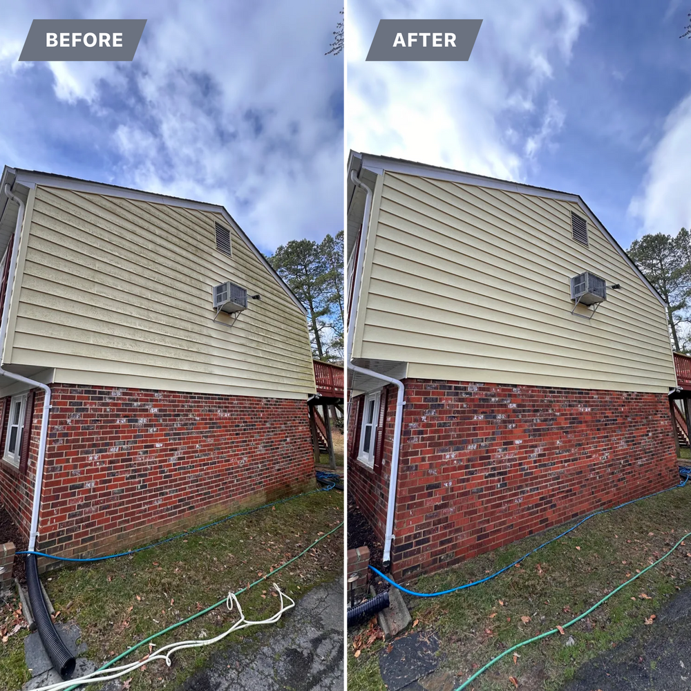 All Photos for LeafTide Solutions in Richmond, VA