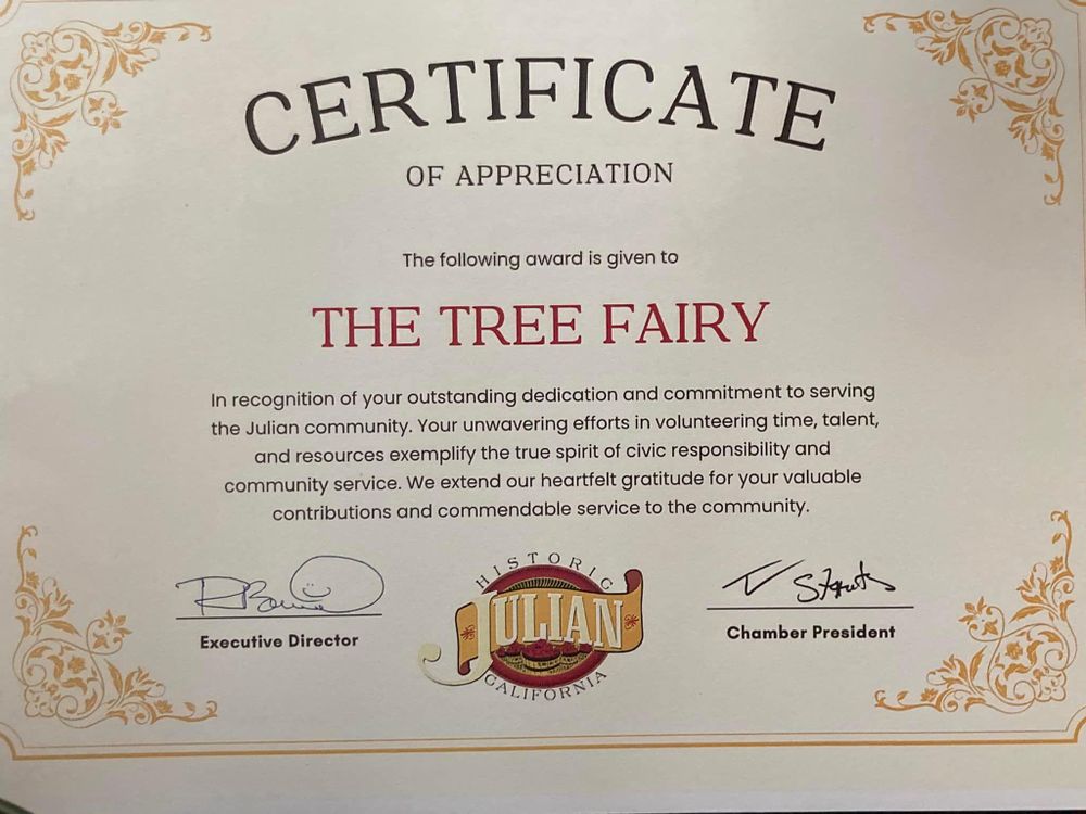 Property Clean Up for The Tree Fairy in Temecula, CA