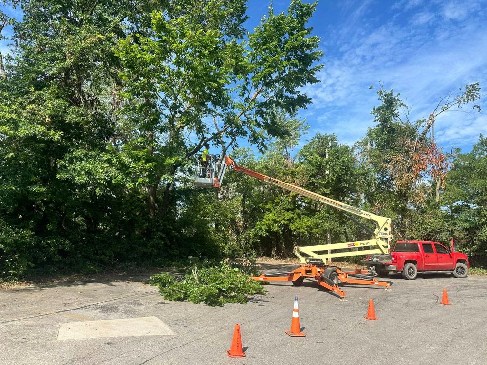 All Photos for Boyd Septic & Utility LLC in West Fork, AR