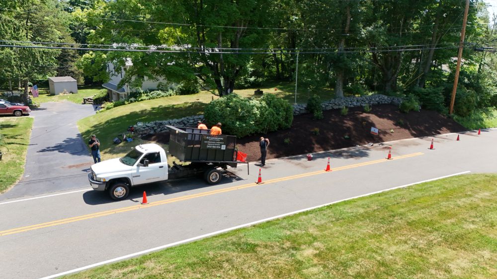 Landscape & Bed Design for Ace Landscaping in Trumbull, CT