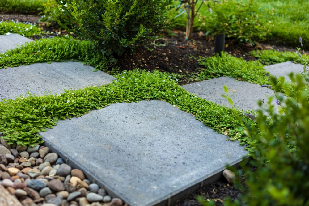 All Photos for Courtney Lewis Landscape Design in Portland, OR
