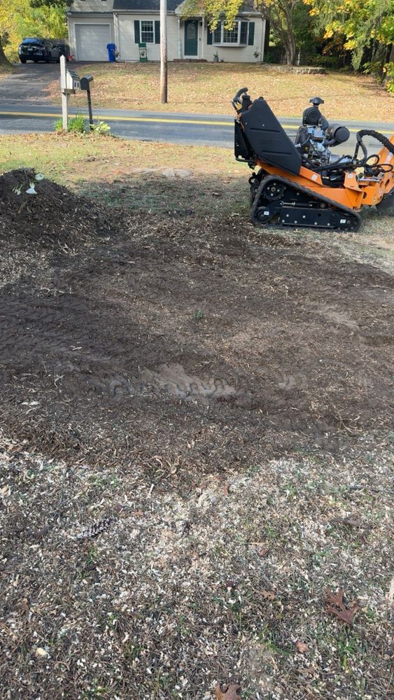 All Photos for Jills Stump Grinding and Firewood in Shelton, CT