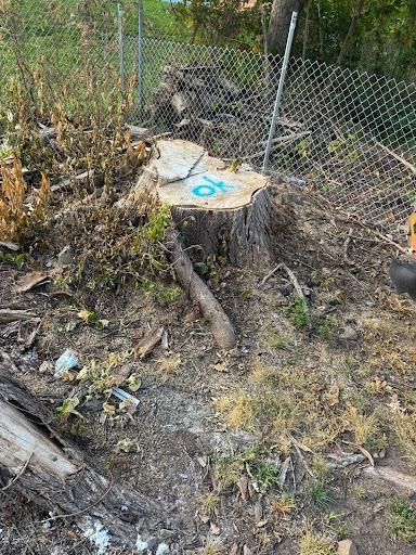 All Photos for Jills Stump Grinding and Firewood in Shelton, CT